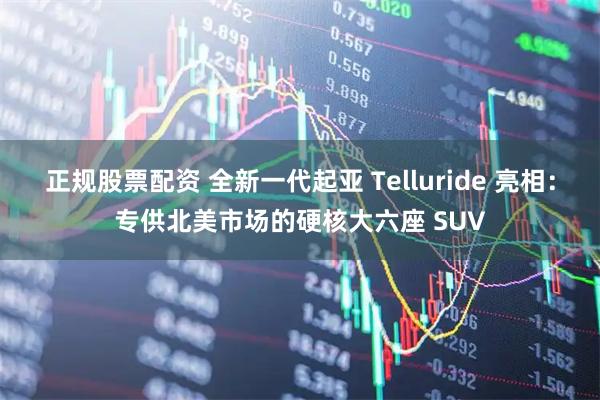 正规股票配资 全新一代起亚 Telluride 亮相：专供北美市场的硬核大六座 SUV