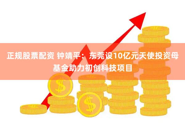 正规股票配资 钟靖平：东莞设10亿元天使投资母基金助力初创科技项目