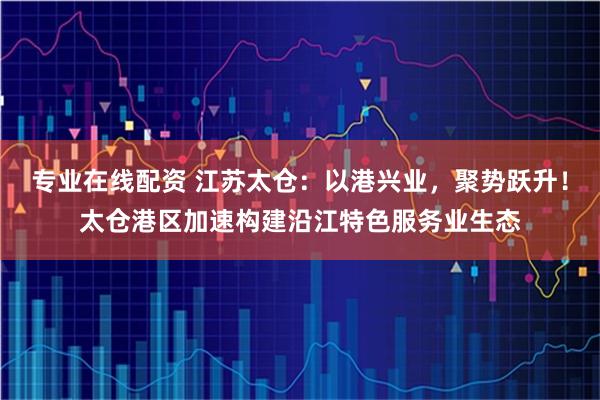 专业在线配资 江苏太仓:以港兴业,聚势跃升!太仓港区加速构建沿江特色服务业生态